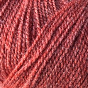 Wild and Soft - 216