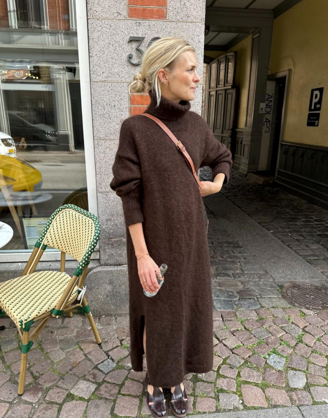 Chestnut dress (trykket på papir)