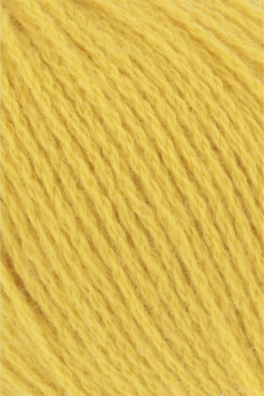 CASHMERE PREMIUM - 113 Yellow