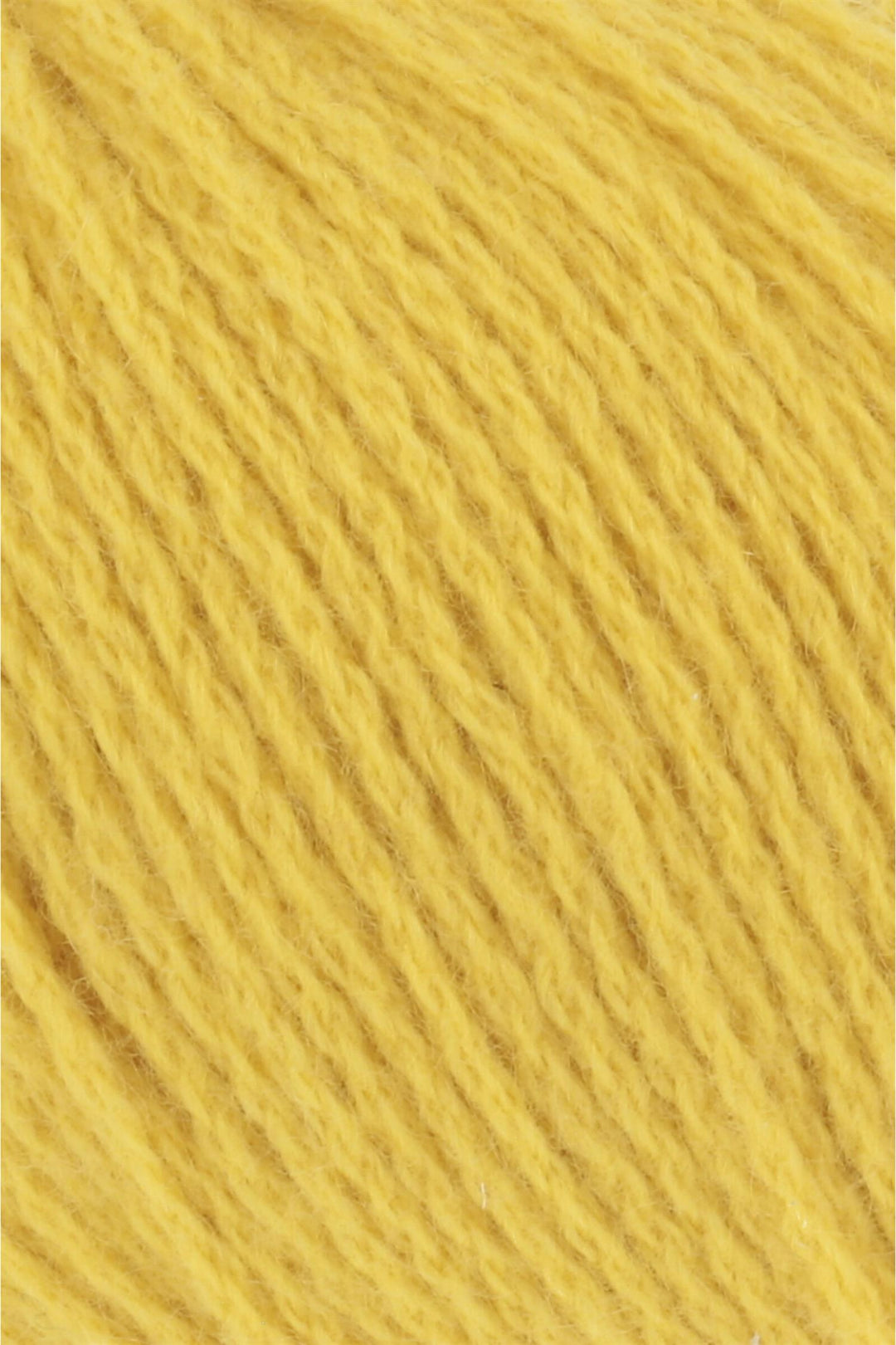 CASHMERE PREMIUM - 113 yellow